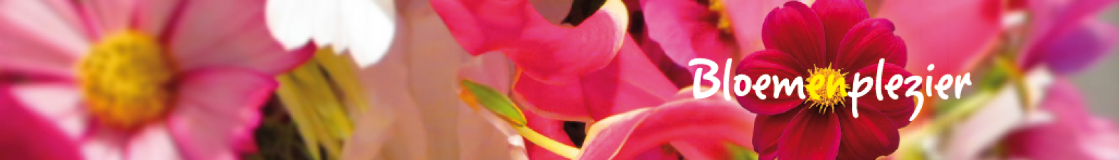 cropped-bloemenplezierbanner